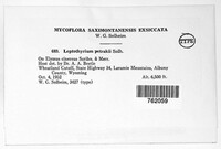 Leptothyrium petrakii image